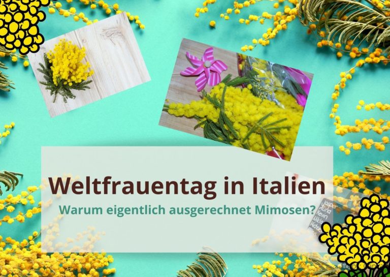 Weltfrauentag in Italien: Jetzt echt? Mimosen?